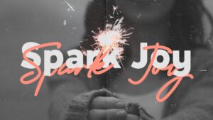 Spark Joy, Part 2