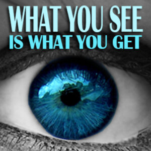 What You See is What You Get