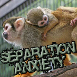 Separation Anxiety